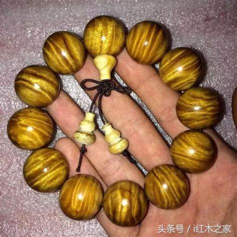 金絲楠木功效|金絲楠特性與藥用價值